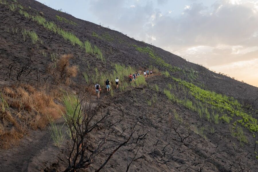 Stromboli: Sunset Trekking at Sciara del Fuoco - Who Should Book This Sunset Trek, and Who Should Skip It