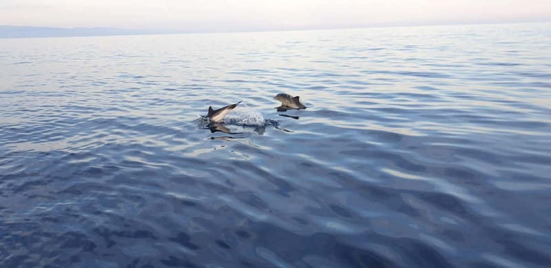 Sunset tour in search of dolphins with aperitif - Meet Antonio at Giardini Naxos, then get the sea part right