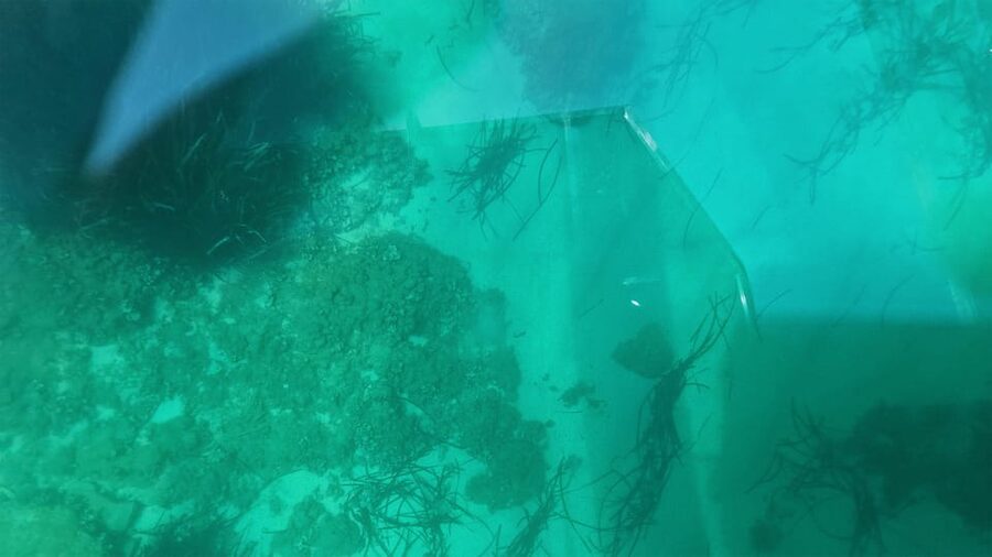 Syracuse: Coast and Sea Caves Full Transparent Boat Tour - Swim stop and underwater photos: how to make it work for you
