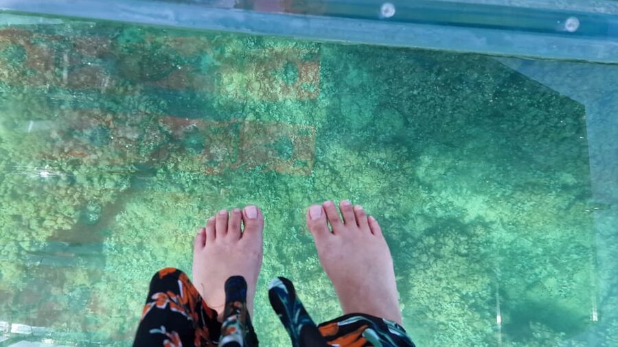 Syracuse: Coast and Sea Caves Full Transparent Boat Tour - Price and value for $47: is it worth it compared with longer cruises?