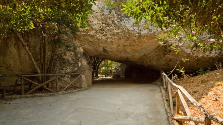 Syracuse: Neapolis and Greek Theater guided tour - Price and what you actually get for $51