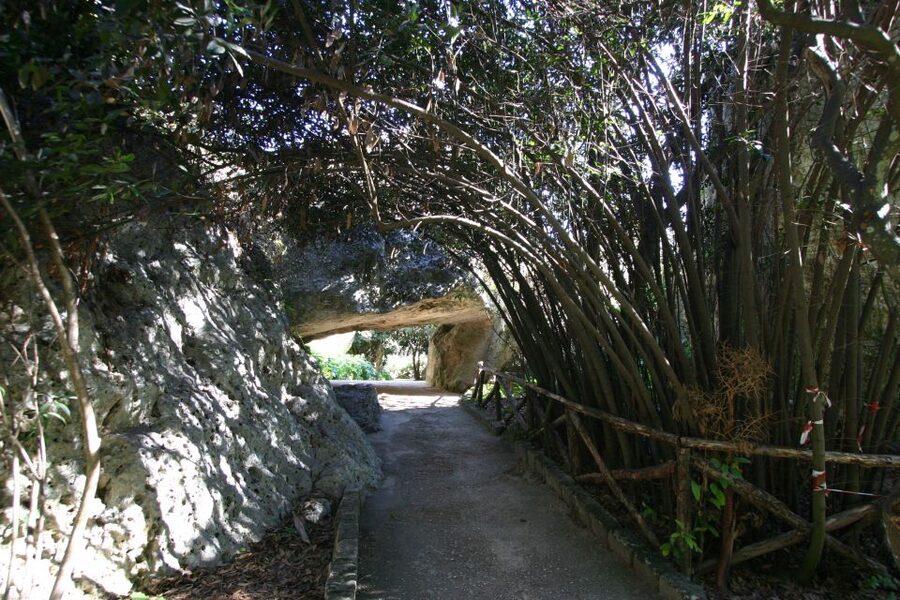 Syracuse: Neapolis Archaeological Park Small Group Tour - Where you meet: Largo Anfiteatro and a clear start