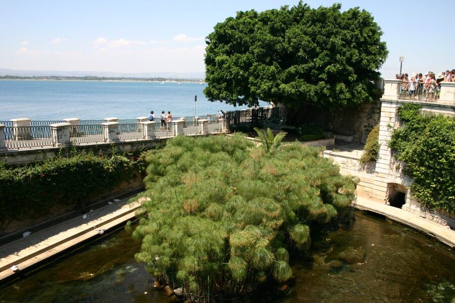 Syracuse: Ortigia Private Walking Tour - The Cathedral Interior Option, and Who Should Choose It