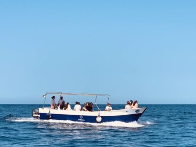Pillirina, Ortigia, and Sea Caves Tour by Boat