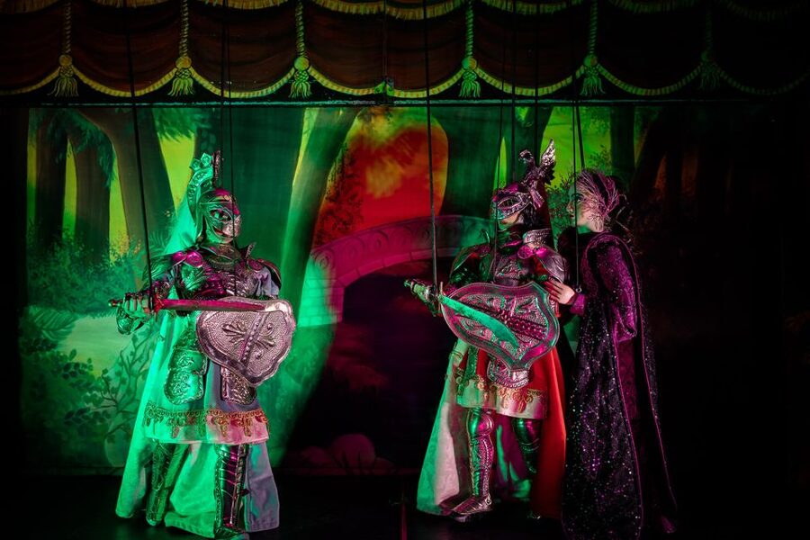 Syracuse: Sicilian Puppet Show with visit behind the scenes - Who should book this puppet show and tour