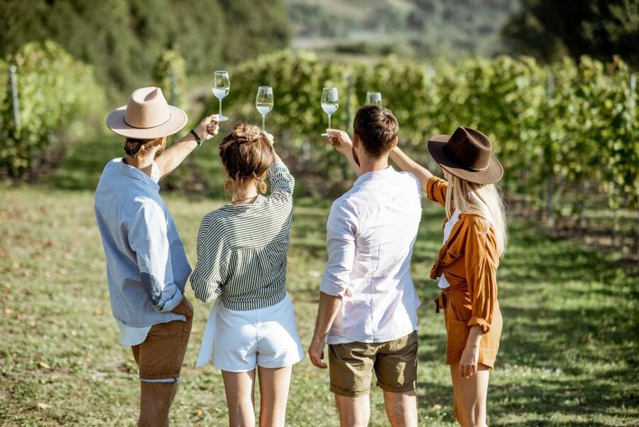 Taormina: Guided Etna Wine Tasting Half-Day Tour - Why Etna wine feels different when you taste it