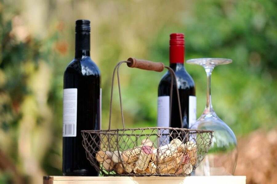 Taormina: Guided Etna Wine Tasting Half-Day Tour - What to eat and drink, and how to get the most from the tastings