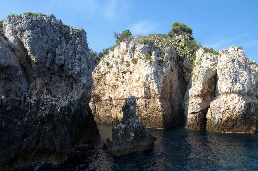 Taormina: White Lotus Tour - Dolphin watching off Taormina: a fun target with real odds