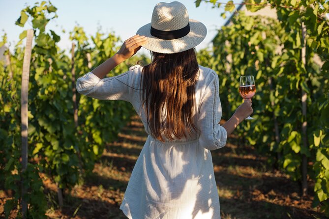 Tour Etna & Wine Tasting - Key highlights worth knowing