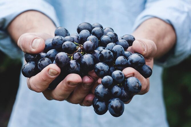 Tour Etna & Wine Tasting - Pickup from Taormina: how the morning really works