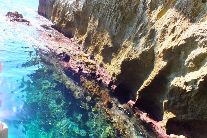 Tour of the island of Ortigia and exploration of sea caves with baths. - Syracuse sea caves: stalactites, coral shapes, and the reality of conditions