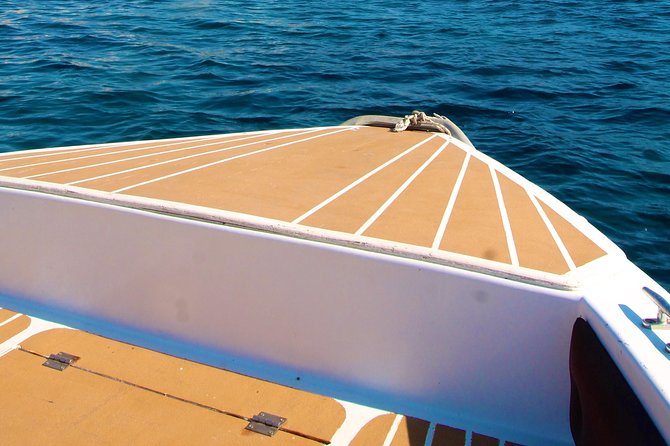 Tour of the island of Ortigia and exploration of sea caves with baths. - Castello Maniace Via Mare: what you should look for from the boat