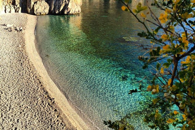 Transfer from Palermo Airport to Marina di Portorosa, Furnari - What You Should Know Before Booking (So You Get the Most From It)