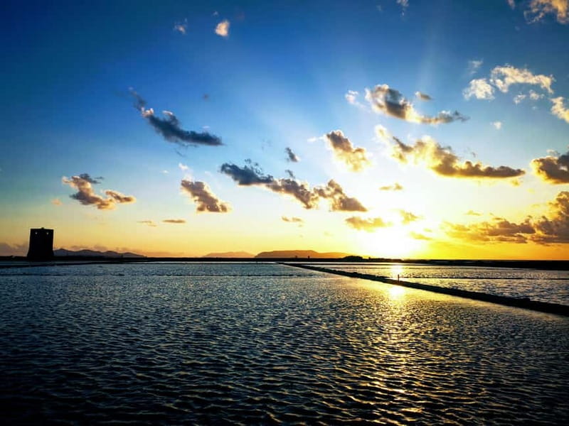 Trapani: 2-Hour Salt Flats Tour - Flamingos and Birdlife: When the Salt Flats Become Wildlife Watching