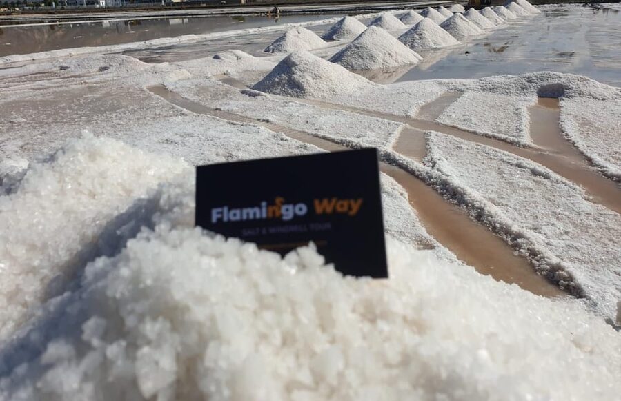 Trapani: Salt Pans Sunset Tour and Flamingo Way - Culcasi salt mine and the windmill museum feel: the industry becomes people
