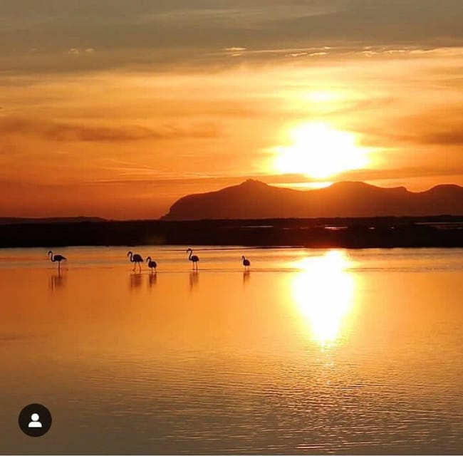 Trapani: Salt Pans Sunset Tour and Flamingo Way - Getting to Paceco: door-to-door van time that doesn’t eat your evening
