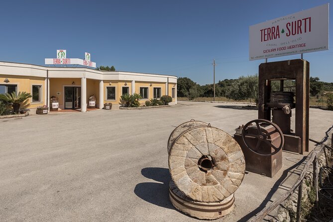 Visit to the olive grove, oil tasting and lunch at the farm - Getting There: The Only Real Logistics Hurdle