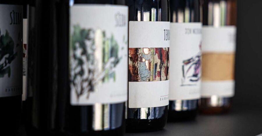 Walk among the rows of vineyards and wine tasting - Key Highlights You Should Actually Care About