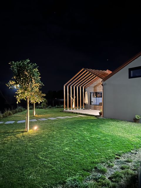 Walk among the rows of vineyards and wine tasting - Vineyard Walk in Sicily: Organic Farming and Native Grapes in Real Life