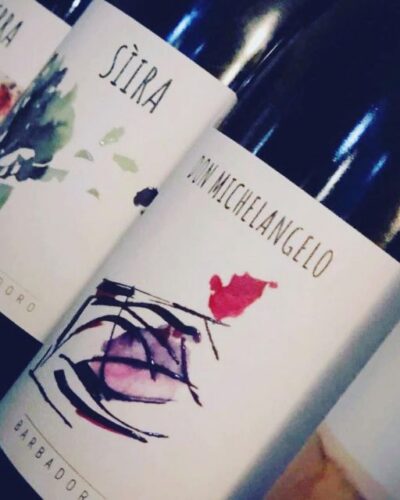 Walk among the rows of vineyards and wine tasting