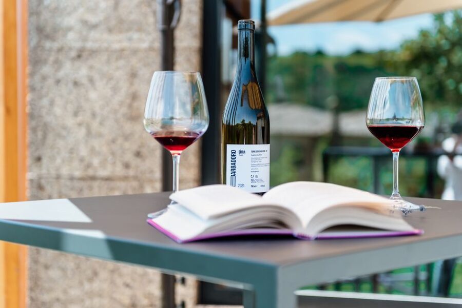 Walk among the rows of vineyards and wine tasting - Cellar Visit: Production Techniques You Can Visualize