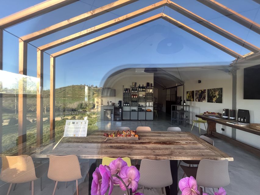 Walk among the rows of vineyards and wine tasting - Who Should Book This Wine Walk and Tasting