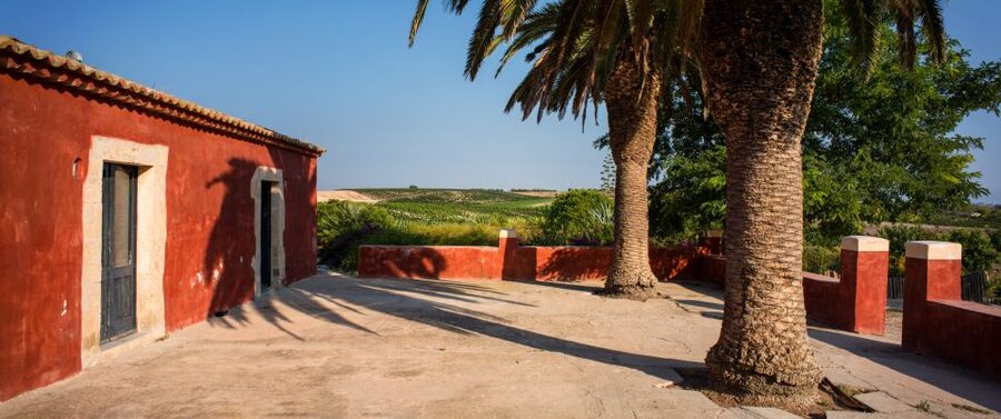 Wine Tasting and Typical Tastings in the Val di Noto - Key Highlights I’d Prioritize