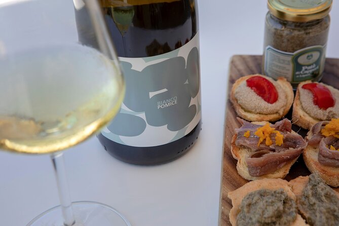 Wine tasting THE CLASSICS - Key highlights at Tenuta di Castellaro