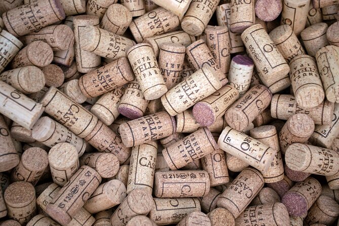 Wine tasting THE CLASSICS - The guided tour part, plus the eco credentials you’ll actually remember